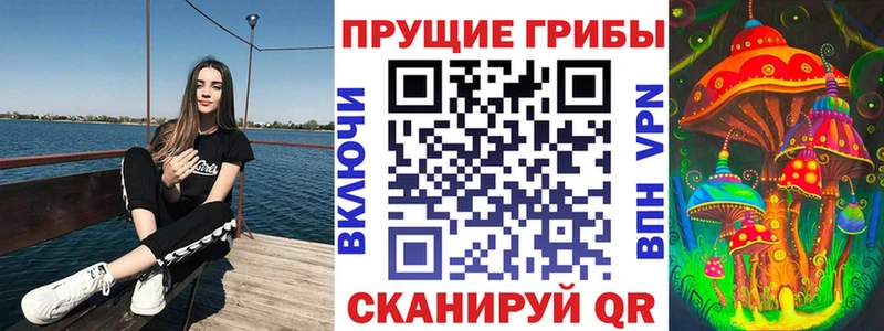 Псилоцибиновые грибы мицелий  Карасук 