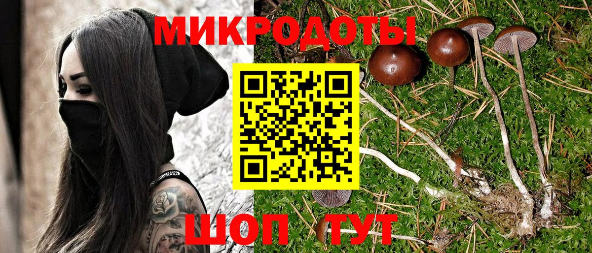 Галлюциногенные грибы Magic Shrooms  магазин  наркотиков  Карасук  Вход с VPN  Псилоцибиновые грибы Psilocybe 